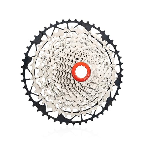 11/12/13 Xs[hJZbgXvPbgyʎ]ԃtCzC[[hoCNJZbgyʎ]ԃt[zC[