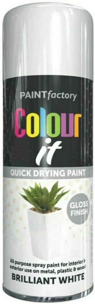 White Gloss Spray Paint Interior & Exterior 250ml Can