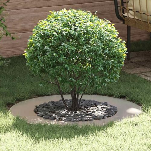 Fangmaliuyun Edelstahl Baumring 80 x 80 cm Silber Modernes Design mit Wurzelschutz und Langlebigkeit ideal für Garten Terrasse oder Rasen als platzsparendes pflanzkübel ähnliches Element
