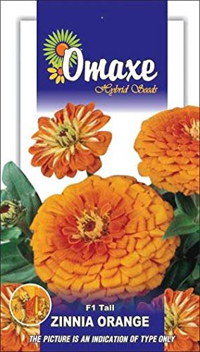 Zinnia F1 Tall Orange Flower Seeds Pack of 2 Kitchen Garden Packet (B07MFZ33LY) Amazon Price History, Amazon Price Tracker
