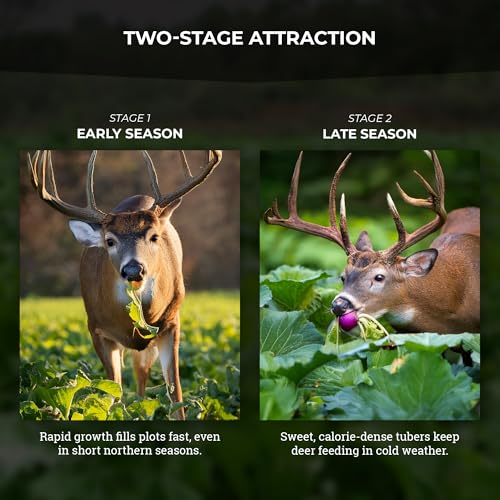 Brassica Blend For Deer