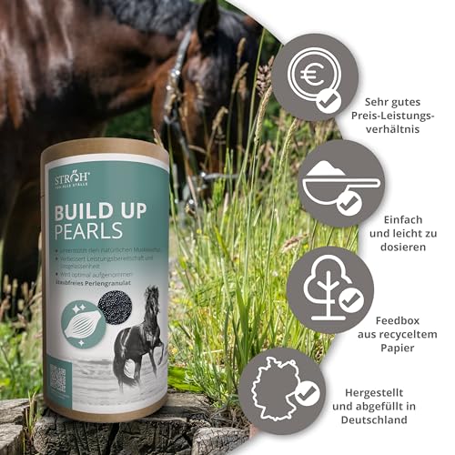 STRÖH Build Up Pearls für Pferde (1,4 kg) • Für Muskelaufbau & Kondition • Aminosäuren-Komplex mit Vitaminen • Unterstützt Regeneration & Leistung • Für Sport- & Freizeitpferde