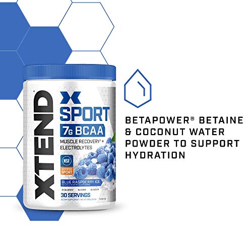 Scivation 0842595105308 Xtend Sport Bcaa Powder Blue Raspberry Ice thumb #2