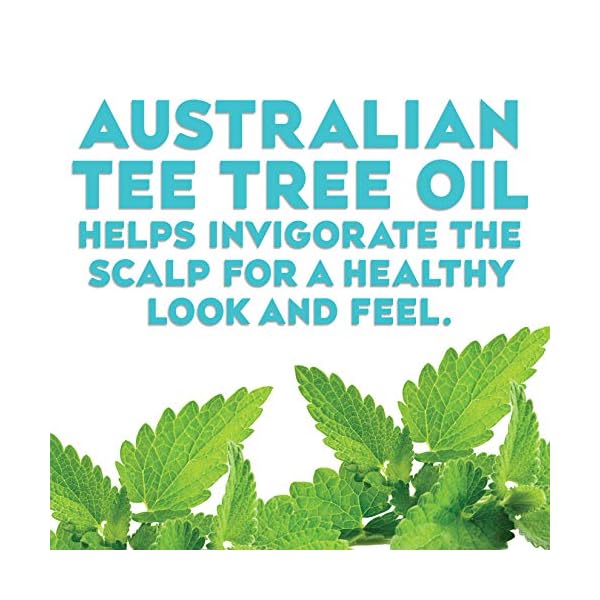 OGX-Hydrating-Tea-Tree-Mint-Conditioner-Nourishing-Invigorating-Scalp-Conditioner-with-Tea-Tree-Peppermint-Oil-Milk-Proteins-Paraben-Free-Sulfate-Free-Surfactants-13-fl-oz OGX Hydrating + Tea Tree Mint Conditioner, Nourishing & Invigorating Scalp Conditioner with Tea Tree & Peppermint Oil & Milk Proteins, Paraben-Free, Sulfate-Free Surfactants, 13 fl oz