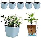 LIEFERUMFANG & ZUFRIEDENHEITSGARANTIE| Selbstwässernder Blumentopf x 6 (Ф13,5 x 13,5 x 12cm, Kapazität von Erde: 13.5oz/400ml). Hinweis: Die abgebildeten Pflanzen sind NICHT enthalten. Wir bieten kostenlose Rückgabe und Umtausch innerhalb von 120 Tage nach der Bestellung.