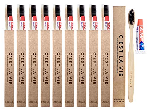 CESTLV Bamboo Charcoal Toothbrush + Toothpaste Kit (10 Pack Bulk), Hotel Amenities for Guest & Travel, BPA Free, Individually Boxed Dental Kits, Recyclable