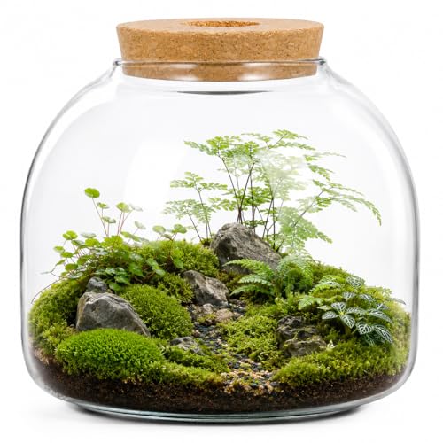 SUPVOX Glass Plant Terrarium Jar Thickened Borosilicate Succulent Planter Container Round Fish Bowl Vase and Hydroponic Display Canister with Vented Cork Lid for Moss Micro Landscape and Home Decor