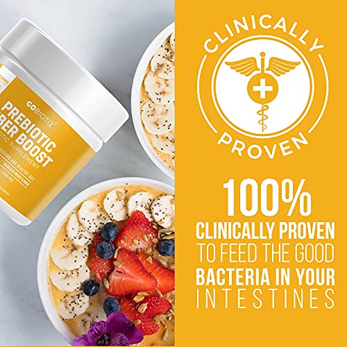 GoBiotix Prebiotic Fiber Boost Powder | Support a Healthy Gut