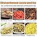 Liver Tea Formula Chrysanthemum, Chrysanthemum Cassia Seed Liver Detox Tea,Té de Hígado Crisantemo Té de Semillas (60PCS)