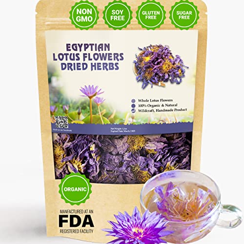 Fiore di loto egiziano di alta qualità, fiore