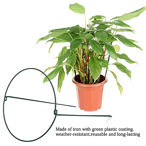 LouisaYork Tuinrand Plant Ondersteuning, 2 Stks Hoge Plant Ondersteunt Plant Ondersteuning Tuin Staken Tuin Hoepel Halfrond voor Pioenrozen, Hortensia, Rozen - Afbeelding 4