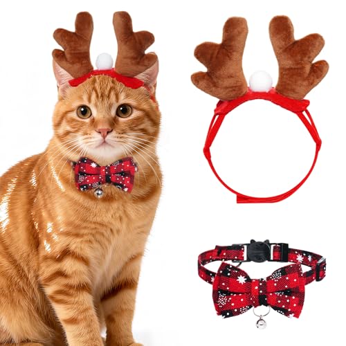 Haakong Cat NX}XRX`[ giJC wbhohƎ ^L  NX}X nEB p[eB[ RXvpi(bh`FbN)