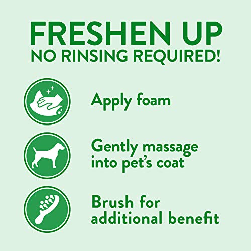 TropiClean Hypoallergenic Waterless Dog Shampoo | Dry Shampoo for Dogs With Sensitive Skin | Natural Dog Shampoo Derived… - Image 4