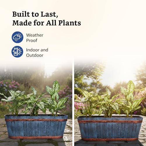 Image of Amazon Brand- Solimo Indoor and Outdoor Rectangular 21 Inch Barrel Flower Planter Pot Best for Terrace /Balcony /Home /Office Decor - Set of 2