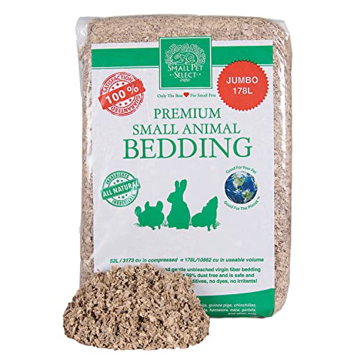 Do Guinea Pigs Need Bedding in Their Cage? All You Need To Know