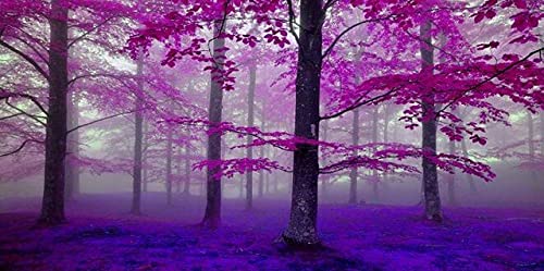 Diamond Painting Forêt Violette Adulte | Kit Complet Mosaïque 70x140