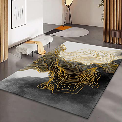 Tapis salon pas cher 200x300 moderne pour décoration de chambre