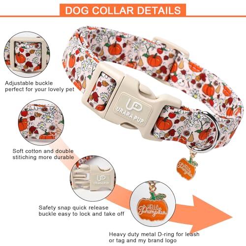 Image of Fall Dog Collar - Halloween Dog Collars-Adjustable Pumpkin & Daisy Floral Collar with Quick Release, Autumn Harvest Dogs Collars