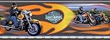 Brewster Gravity 258-67113M Pre-Pasted Non-Woven Harley Flame Mural, 13.5-Foot Wide by 5-Foot High