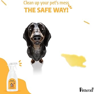 Petterati Pet Safe Surface Disinfectant -Citrus (500ml) | BKC, Chemical & Alcohol Free | Kills 99.9% Germs | Safe For Both Dogs And Cats
