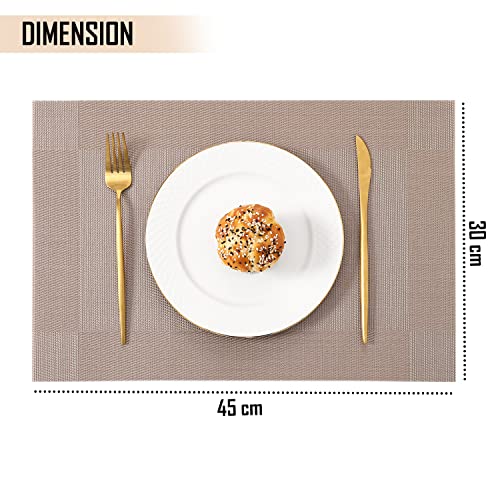 Image of HOKIPO PVC Set of 4 Placemats for Dining Table - 45x30 cm (AR3264) Copper Brown