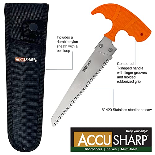 AccuSharp 6