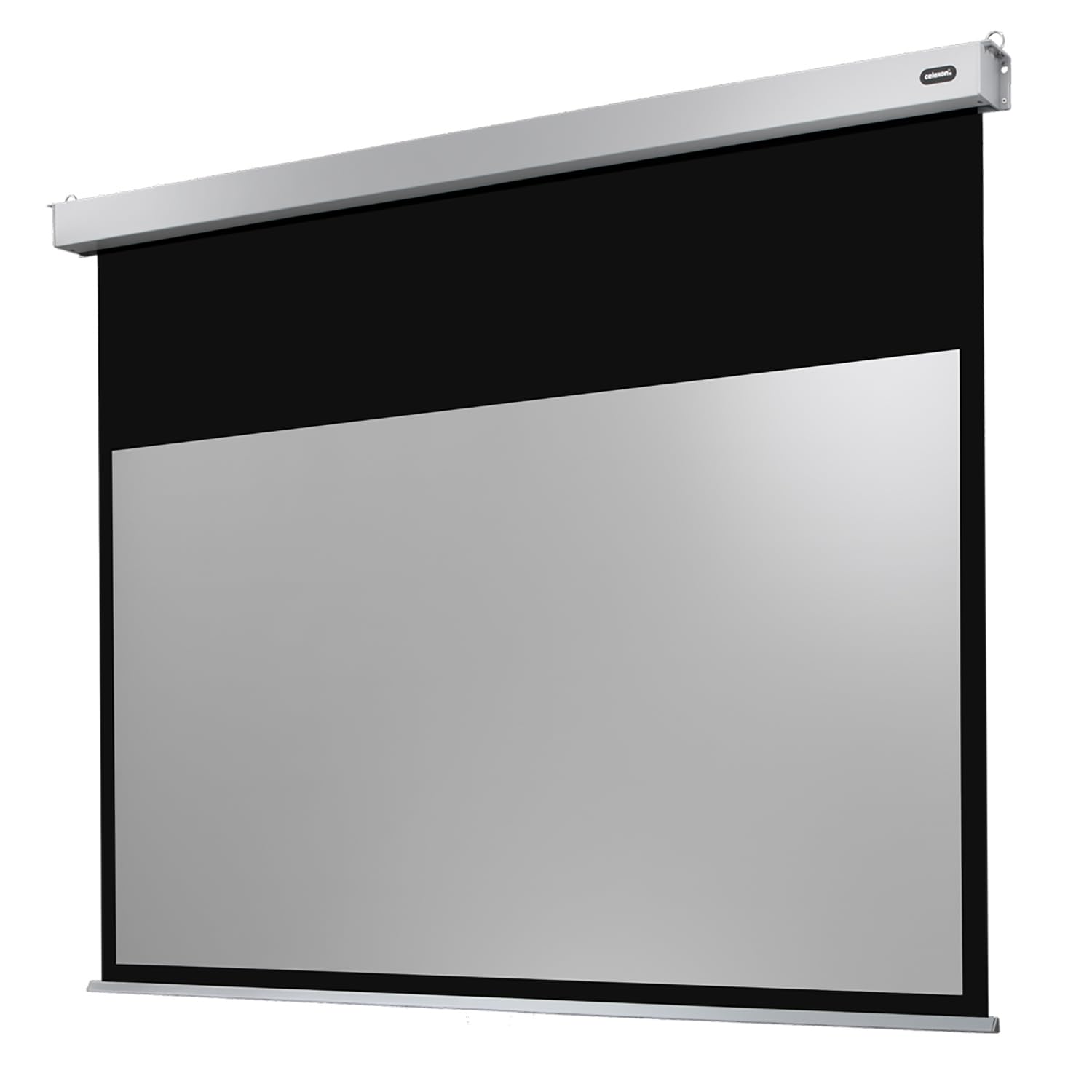 Celexon Leinwand Motor Professional Plus 220 x 137 cm
