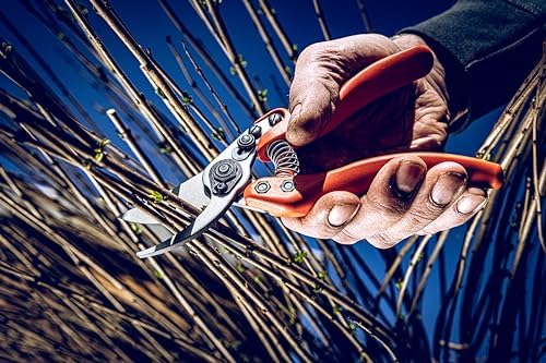 Original LÖWE Profi Bypass Pruner Garden Tools 11.107 | Light & Sharp Tree Pruner | Use As Garden Shears, Handheld, Pruning Shears for Gardening | For flowers, twigs & fruit trees | Made in Germany - Thumbnail 5