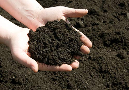 CSPARK Band Natural and 100% Pure Farm/Forest Black Soil (1kg) (B09SF1VNV4) Amazon Price History, Amazon Price Tracker