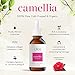 Japanese Camellia Japonica Oil - Tsubaki - Cold Pressed, Unrefined - Nourish, Moisturize with Natural Antioxidants, Hair and Skin - Rich in Vitamin E - 60ml
