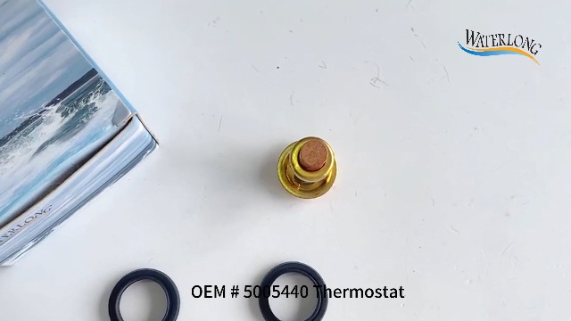 Amazon.com: WATERLONG 0436195 Thermostat Replaces for Evinrude