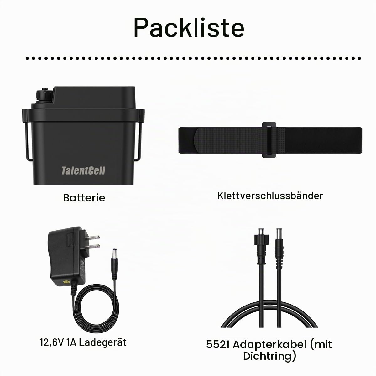 TalentCell Wiederaufladbarer 12V Lithium-Ionen-Akku WP3200, 7000mAh