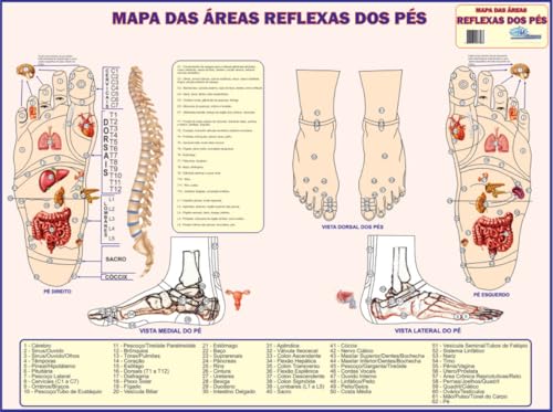 MAPA/POSTER DAS ÁREAS REFLEXAS DOS PÉS - REFLEXOLOGIA - DIMENSÕES: LARGURA 117 CM X ALTURA 89 CM.