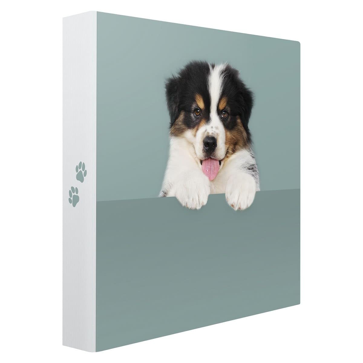 Ceanothe Album Photo Pochette cache-cache chien 200 Photos 10x15 cm Animaux - Mini Format - 100 Pages Ivoire- 2 Photos par Page - Taille de l'album Photo : 25x25 cm - Marque Française