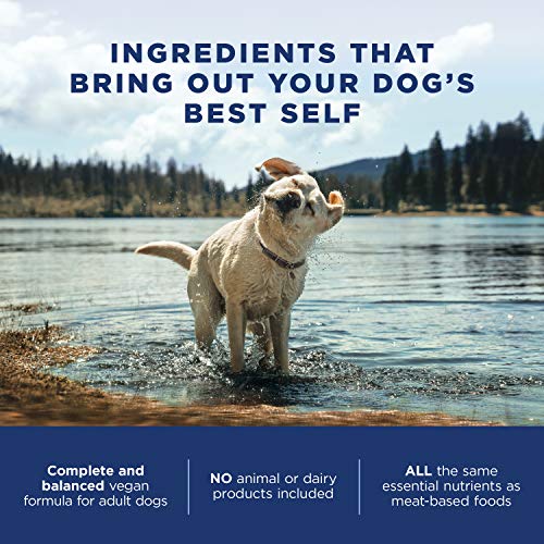 Natural Balance Limited Ingredient Diets Vegetarian Brown Rice, Oat Groats, Barley & Peas | Adult Dry Dog Food | Vegan | 14-Lb. Bag #TOP5