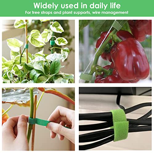 HASTHIP® 10Pcs Plant Tie Strap, Reusable Nylon Garden Tape Rolls Plant Ties, Back to Back Hook and Loop Tape for Tomato Plant Support, Tree Ties, Plant Supports, Cable Organizer, Cable Ties (1m/roll)