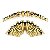 VCMART 14G-00G 36pcs Ear Gauges Stretching Kit Tapers Plugs Eyelets Implant Grade Steel