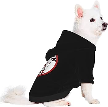 51ar0YWIJZL._AC_UF350,