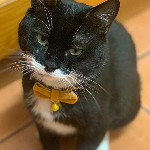 YUDOTE Ultra-soft Collar Natural Cotton Corduroy Made for Cats with Sensitive Skin,Lightweight Kitten Collars with Quick-release Buckle and Removeable Bow-tie,Orange Pack of 1 - Image 3