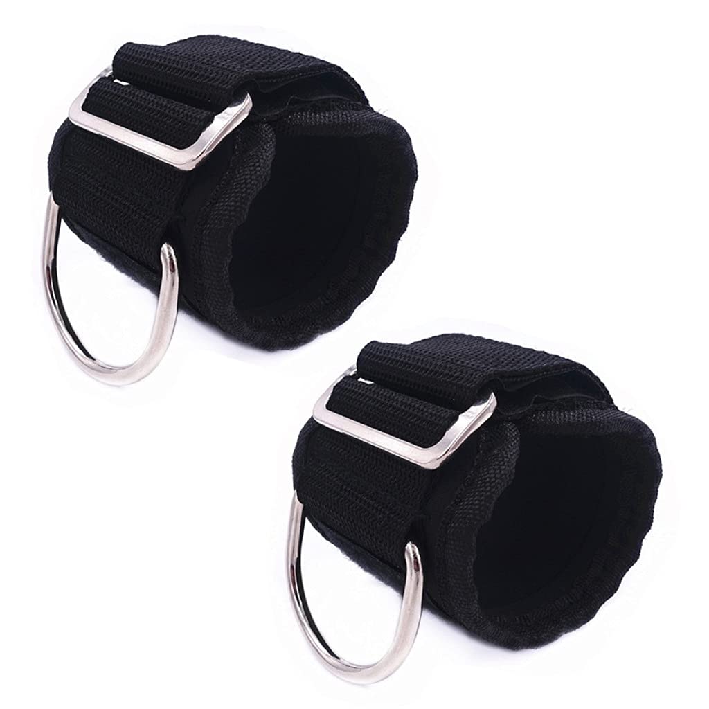 Sangle D-Bague pour Machine à Câble en Acier Durable pour Musculation
