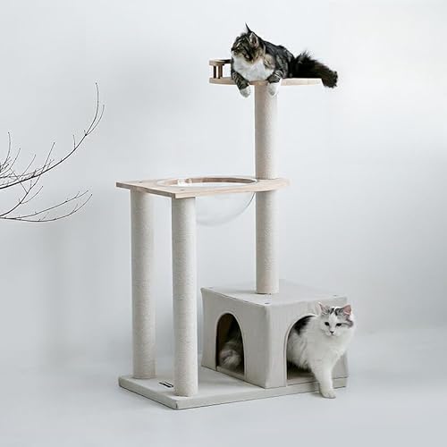 Lbg^[ FD VR ȕR I[V[Yf єɂ |₷ ^ 傫LnEX u