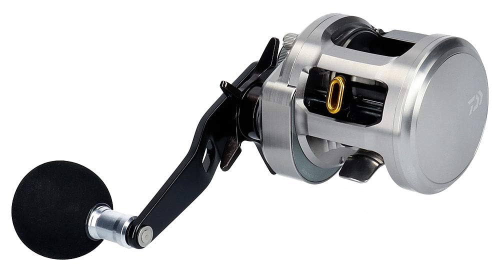 2015 Daiwa Catalina BJ 200SH (RIGHT HANDLE) : Amazon.com.au