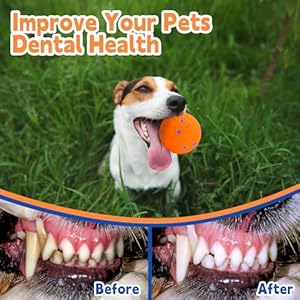 Dog toy balls indestructible dog tennis ball for aggressive chewers 3 inch durable teething chew toys water toy interactive outdoor fetch balls for large medium small dog 4 colors   cucciolini doodles