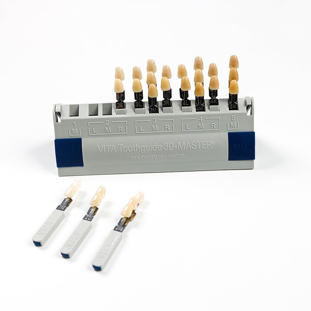 29 Colori Sbiancamento Dei Denti Scala Colori Tabella Colori Sbiancamento | Denti Professionale 3D