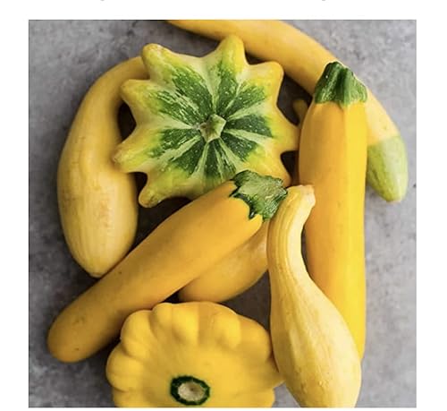 This Is A Mix!!! 50+ Zucchini And Squash Mix Seeds 12 Varieties Non-Gmo Delicious Grown In Usa. Fast Growing, Rare, Super Profilic, #TOP6