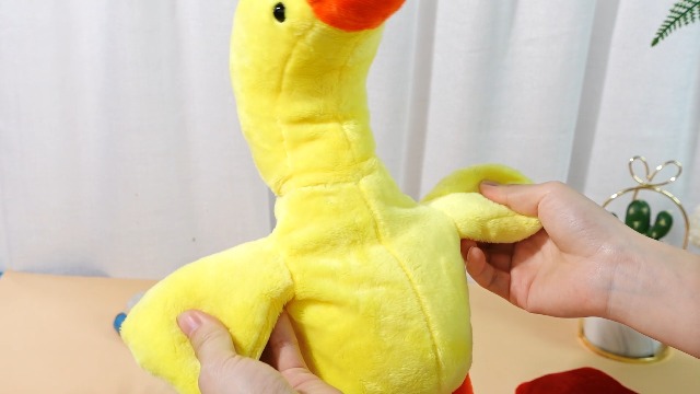 Amazon.com: 12