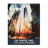 SoHo Urban Artist Fine Textured Professional Pastel Paper Pad - 140 lb. - 11x14 Acid-Free Fine Textured Canvas...