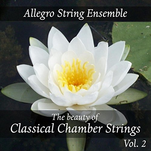 Amazon.com: The Beauty of Classical Chamber Strings, Vol. 2 : Allegro ...