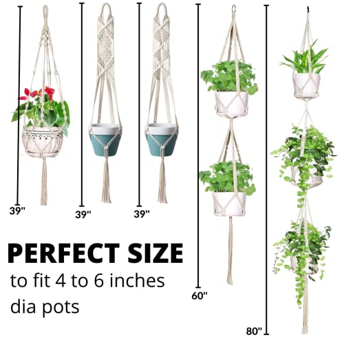 Image of ecofynd Cotton 3 Set Plant Hanger [without Pot] | Rope Flower Pot Holder for Indoor Outdoor Balcony Garden Wall Com05 /Pack of 5, Ivory