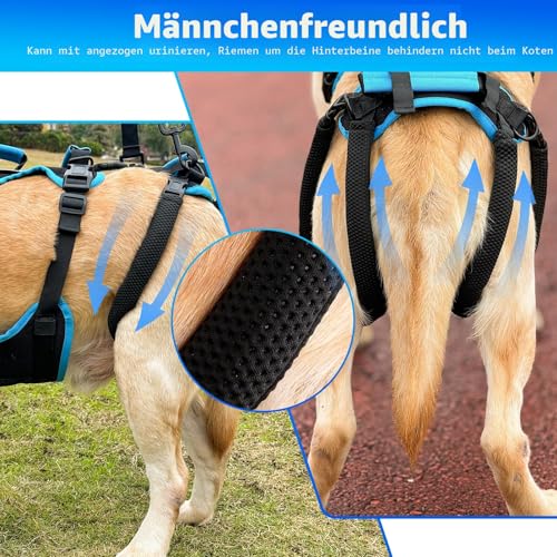 Lafoty Hundelift-Geschirr für große Rüden - 2-in-1 abnehmbares Unterstützungsgeschirr für die Hinterbeine, Ganzkörpertragehilfe mit Griffen für Senior-Hunde & nach der Operation(Schwarz. Mittel)